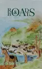 Roads & Boats