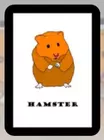 Hamsterdam 5-6 Player Expansion