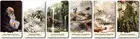 Evolution: Scenario Cards