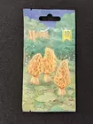 Morels: 10th Anniversary Booster Pack
