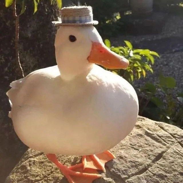 Nemchick