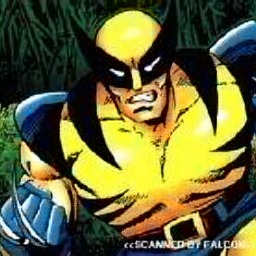 Avatar