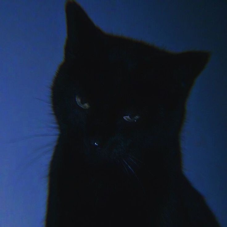 Finnegan