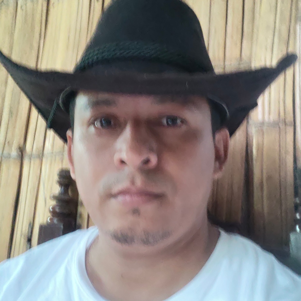Jluis