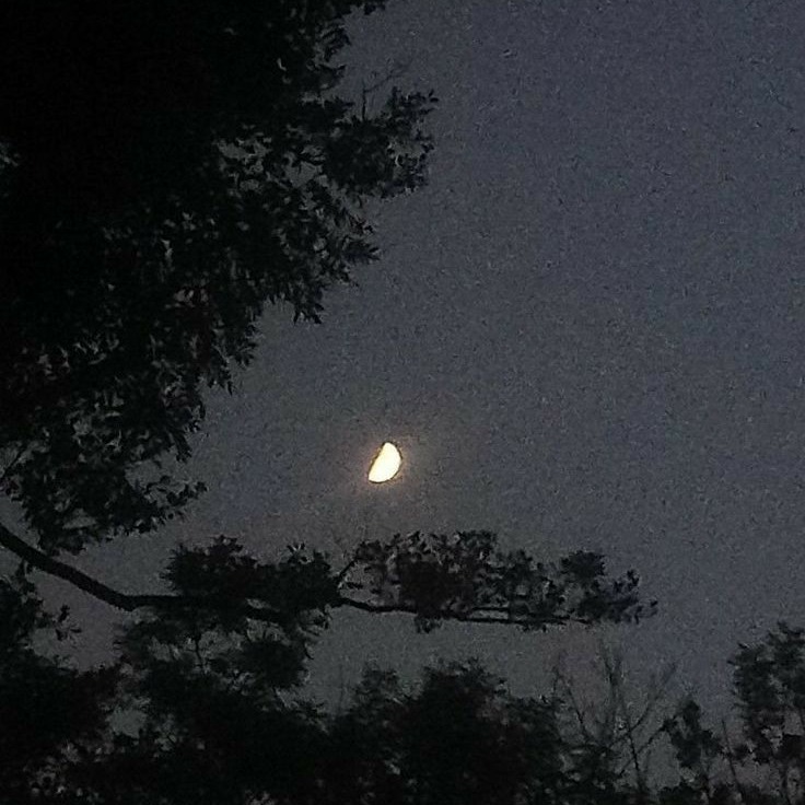 Lovely_Nights