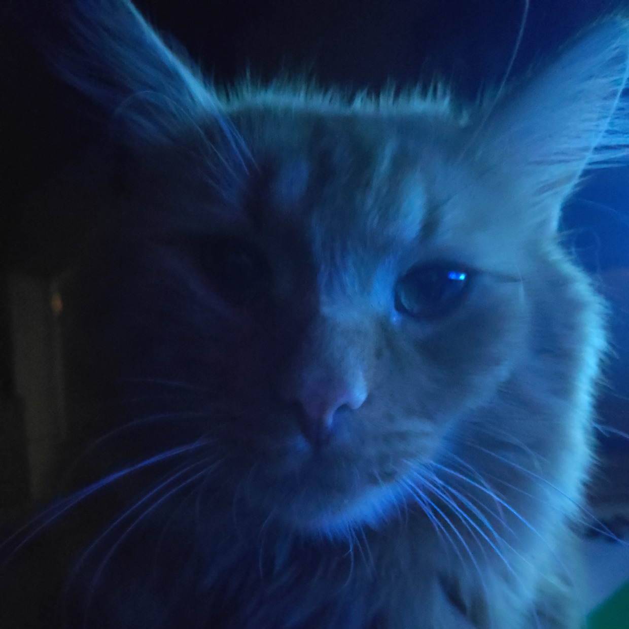 xxXDevilXxx